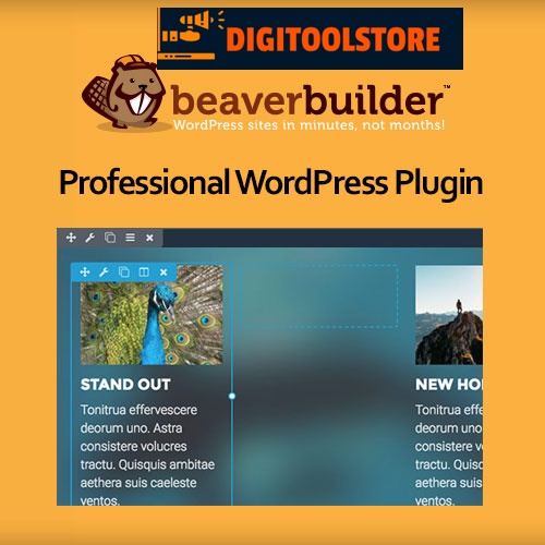 Beaver Builder Professional WordPress Plugin DV Group Beaver Builder Professional WordPress Plugin